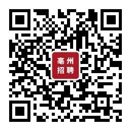 涡阳最新招聘信息揭秘，求职者的福音！