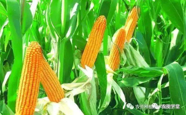 泊头市龙行天下机械设备 第98页