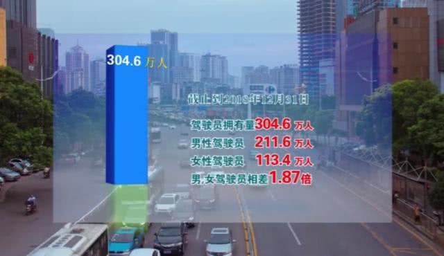 长沙司机招聘最新信息及小巷深处的独特机遇