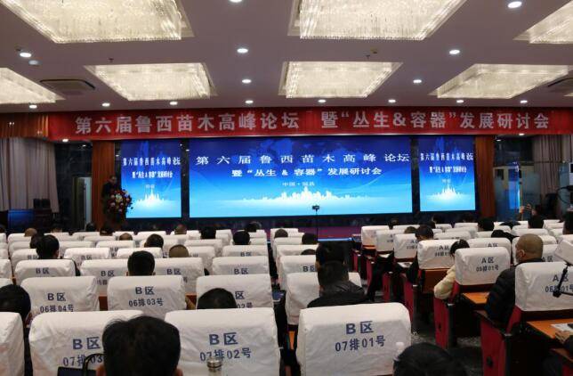 聊城鲁西化工最新招聘日常趣事概览