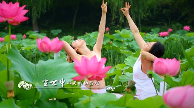 曦月花艺小溪最新视频，绽放的艺术与自然完美融合